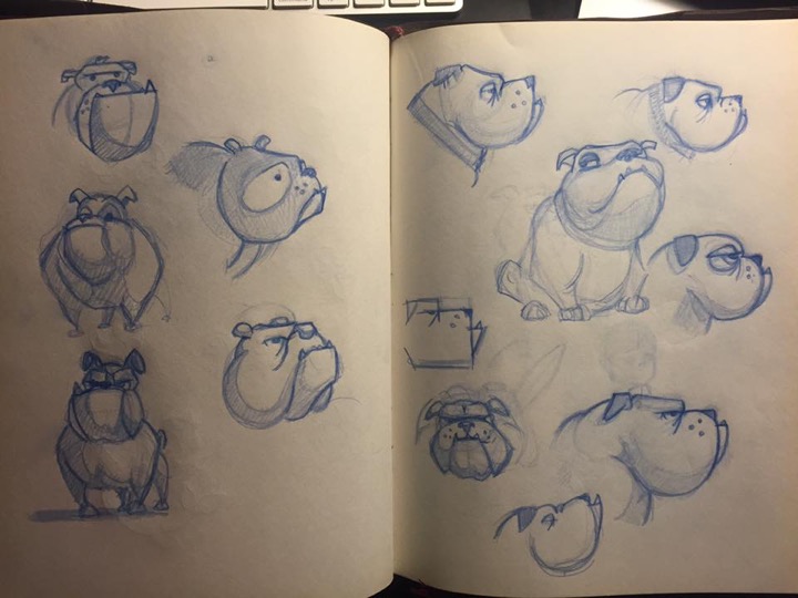 Bulldog Sketches